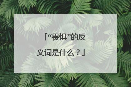 “畏惧”的反义词是什么?