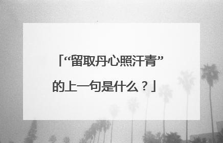 “留取丹心照汗青”的上一句是什么?