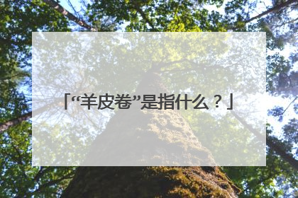 “羊皮卷”是指什么？