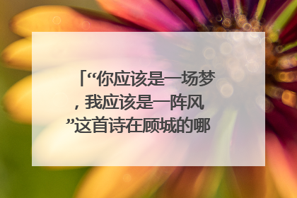 “你应该是一场梦,我应该是一阵风 ”这首诗在顾城的哪本诗集中?(除了《顾城诗全集》)