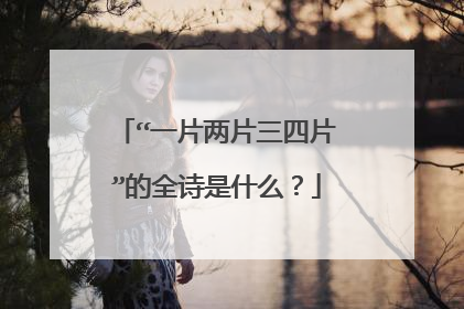 “一片两片三四片”的全诗是什么？