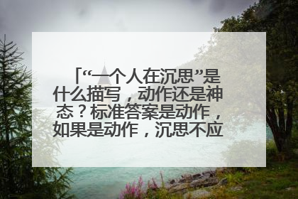 “一个人在沉思”是什么描写，动作还是神态？标准答案是动作，如果是动作，沉思不应该是神态描写么？