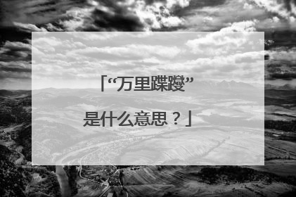 “万里蹀躞”是什么意思？