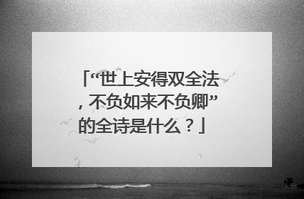 “世上安得双全法,不负如来不负卿”的全诗是什么?