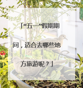 “五一”假期期间，适合去哪些地方旅游呢？
