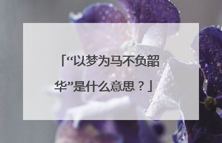 “以梦为马不负韶华”是什么意思?