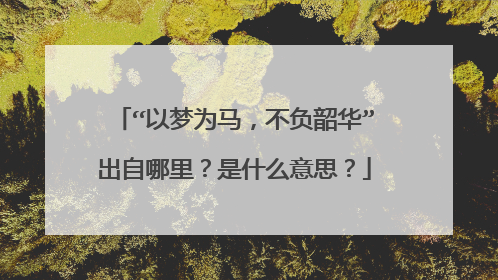 “以梦为马，不负韶华”出自哪里？是什么意思？