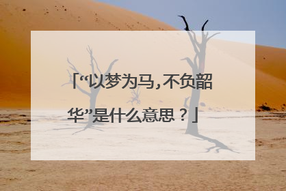 “以梦为马,不负韶华”是什么意思?
