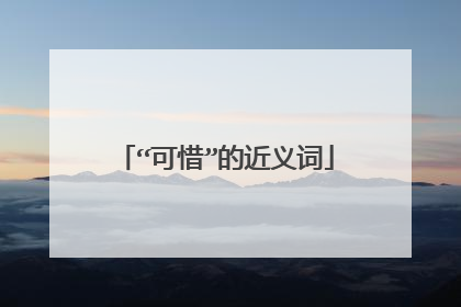 “可惜”的近义词