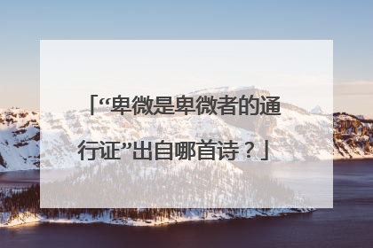 “卑微是卑微者的通行证”出自哪首诗?