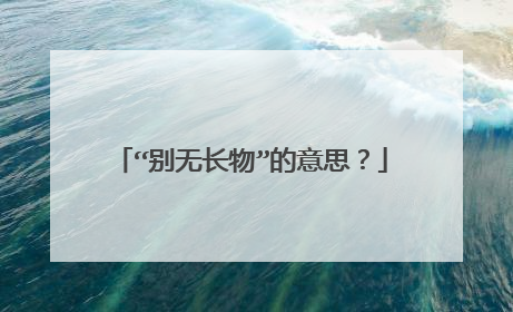 “别无长物”的意思?