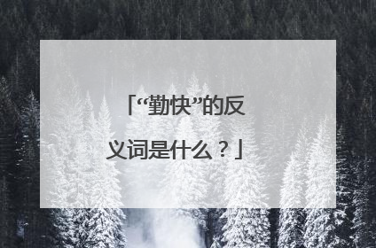 “勤快”的反义词是什么？