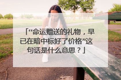 “命运赠送的礼物，早已在暗中标好了价格”这句话是什么意思？