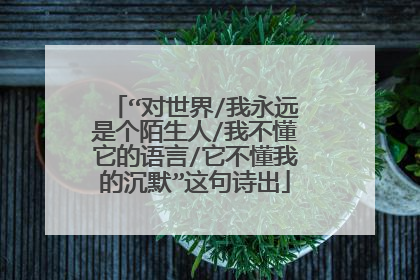 “对世界/我永远是个陌生人/我不懂它的语言/它不懂我的沉默”这句诗出