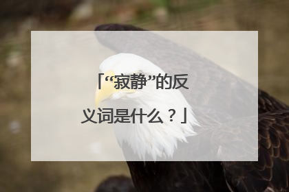 “寂静”的反义词是什么？