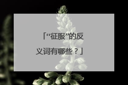 “征服”的反义词有哪些?