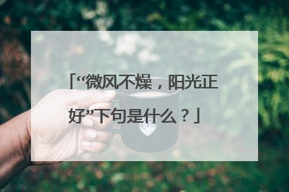 “微风不燥，阳光正好”下句是什么？