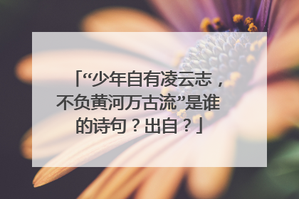 “少年自有凌云志，不负黄河万古流”是谁的诗句？出自？