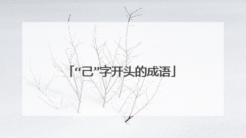 “己”字开头的成语