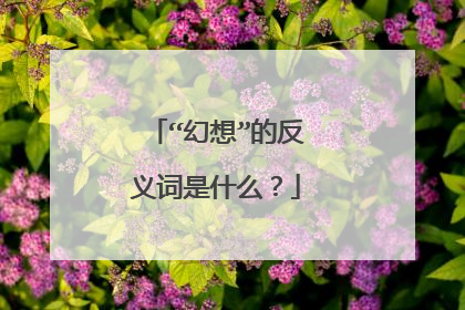 “幻想”的反义词是什么？