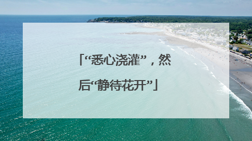 “悉心浇灌”,然后“静待花开”