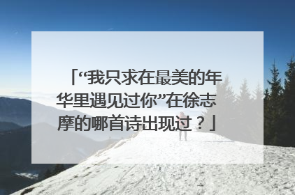 “我只求在最美的年华里遇见过你”在徐志摩的哪首诗出现过？