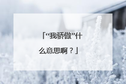 “我骄傲”什么意思啊？