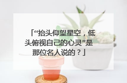 “抬头仰望星空，低头俯视自己的心灵”是那位名人说的？
