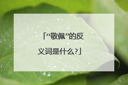 “敬佩”的反义词是什么?
