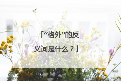 “格外”的反义词是什么?
