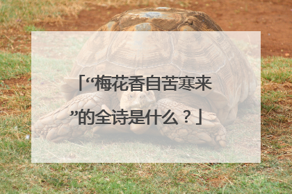 “梅花香自苦寒来”的全诗是什么?
