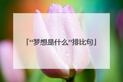 “梦想是什么“排比句