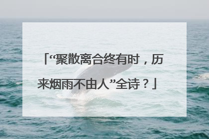 “聚散离合终有时,历来烟雨不由人”全诗?