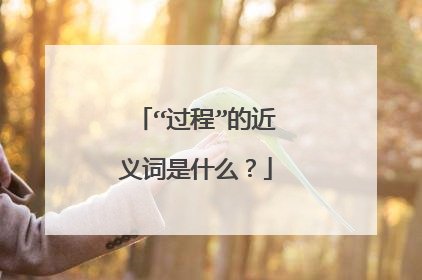 “过程”的近义词是什么?