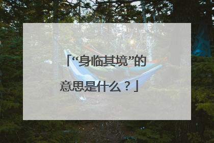 “身临其境”的意思是什么？