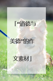 “道德与美德”的作文素材