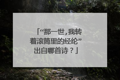 “那一世,我转着滚筒里的经纶”出自哪首诗？