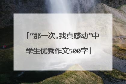 “那一次,我真感动”中学生优秀作文500字