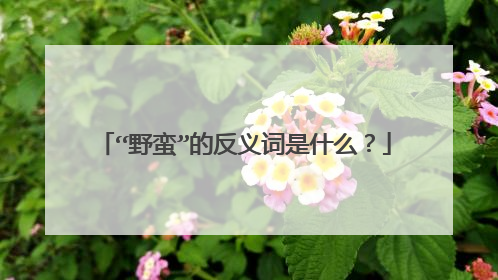 “野蛮”的反义词是什么？