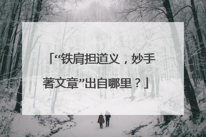 “铁肩担道义,妙手著文章”出自哪里?