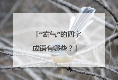 “霸气”的四字成语有哪些？