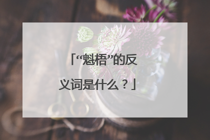 “魁梧”的反义词是什么？