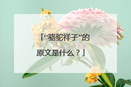 “骆驼祥子”的原文是什么?