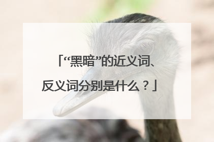 “黑暗”的近义词、反义词分别是什么？