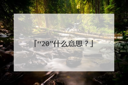 “20”什么意思?