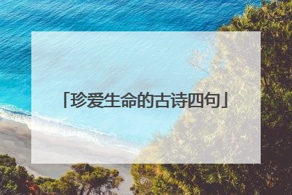 珍爱生命的古诗四句