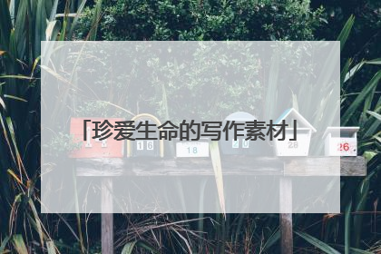 珍爱生命的写作素材