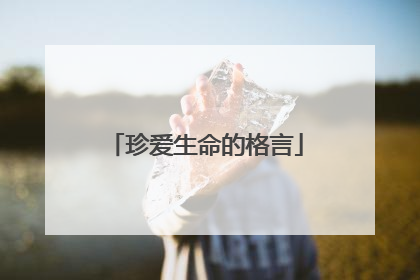 珍爱生命的格言