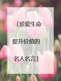 珍爱生命提升价值的名人名言