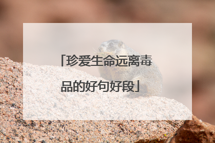 珍爱生命远离毒品的好句好段